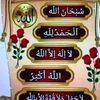 user7950282084261