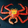 crustacean_emperor
