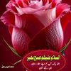 anees.raja80