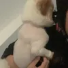 Day