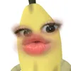 _.rblxlexlie
