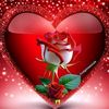 user4937207957606