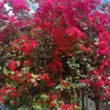 vanda.cabral68