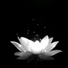 n_thinhuquynh