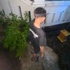 alz_hamzz_