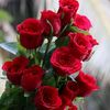 anas.khan.763
