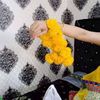 wasimabbas034
