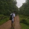 father46781