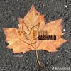 kashmiri.1040