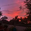 ashley_14323