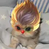 nguyn.lu.gia.hng1m4