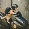 gatau_apaa7