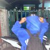qaiiexalt_