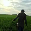 criiii_78