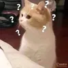 hungyaeger