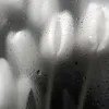 miltyqw