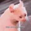 hates_milk