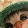 monse_traka63