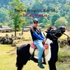 Tiến Thành Travel 💥