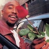 2pac_i5