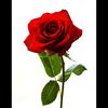 user5423139561287