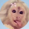 calwal5