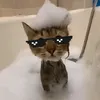 mr_ebz7