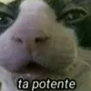pedru_epico