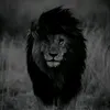 mohamed.o073
