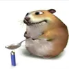 coinrock00