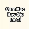 camxucbaygiolagi1