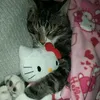 sita_l0v3