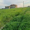 user8620523208619
