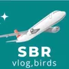sbr.vlogbirds
