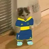 matimessigoat