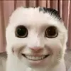 thanhh_hoangg2