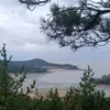 ngotpham268