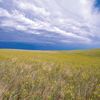 wind_real
