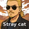 stray.cat071