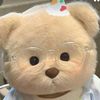 bb_bears._0