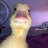 karlaguadalupezep0