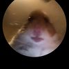 mjdjdjsjaja