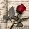 mariyamshahzad29
