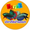 .biyok