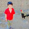 shahid.ali9749