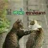 user1566977471637