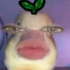 tasyaoliviaa12