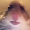 khalishgaming2