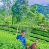 juliandraputra1
