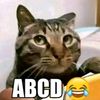 ABCD😹